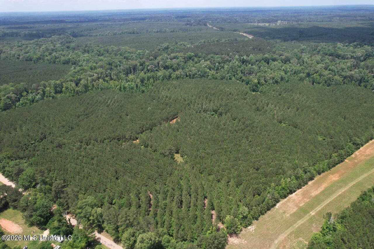 56 Acres in St. Helena Parish with Black Creek