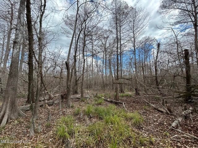 470 Acres on Calcasieu River in Allen Parish, LA