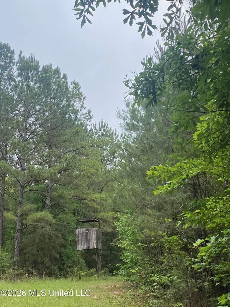 Hunting and Recreational Land for Sale in Amite County, Miss