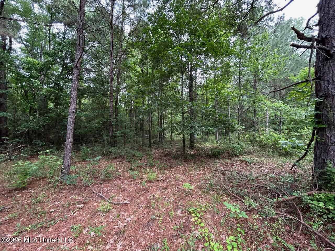 15 Acres with Pond & Homesite in Liberty, MS