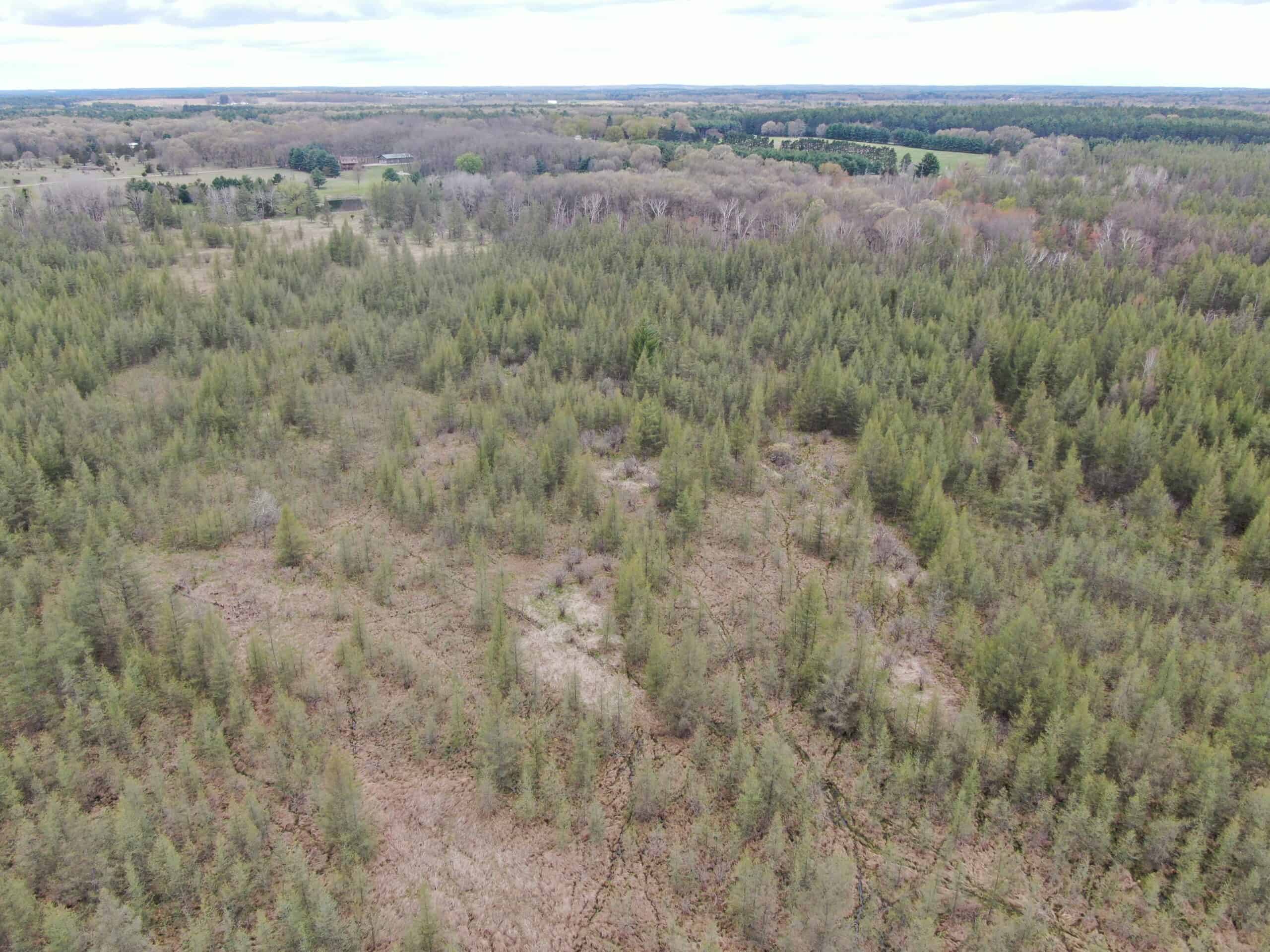 88 Acre Marquette County  WI Hunting Property For Sale