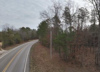20 Wooded Acres For Sale in Lewis County, Tennessee