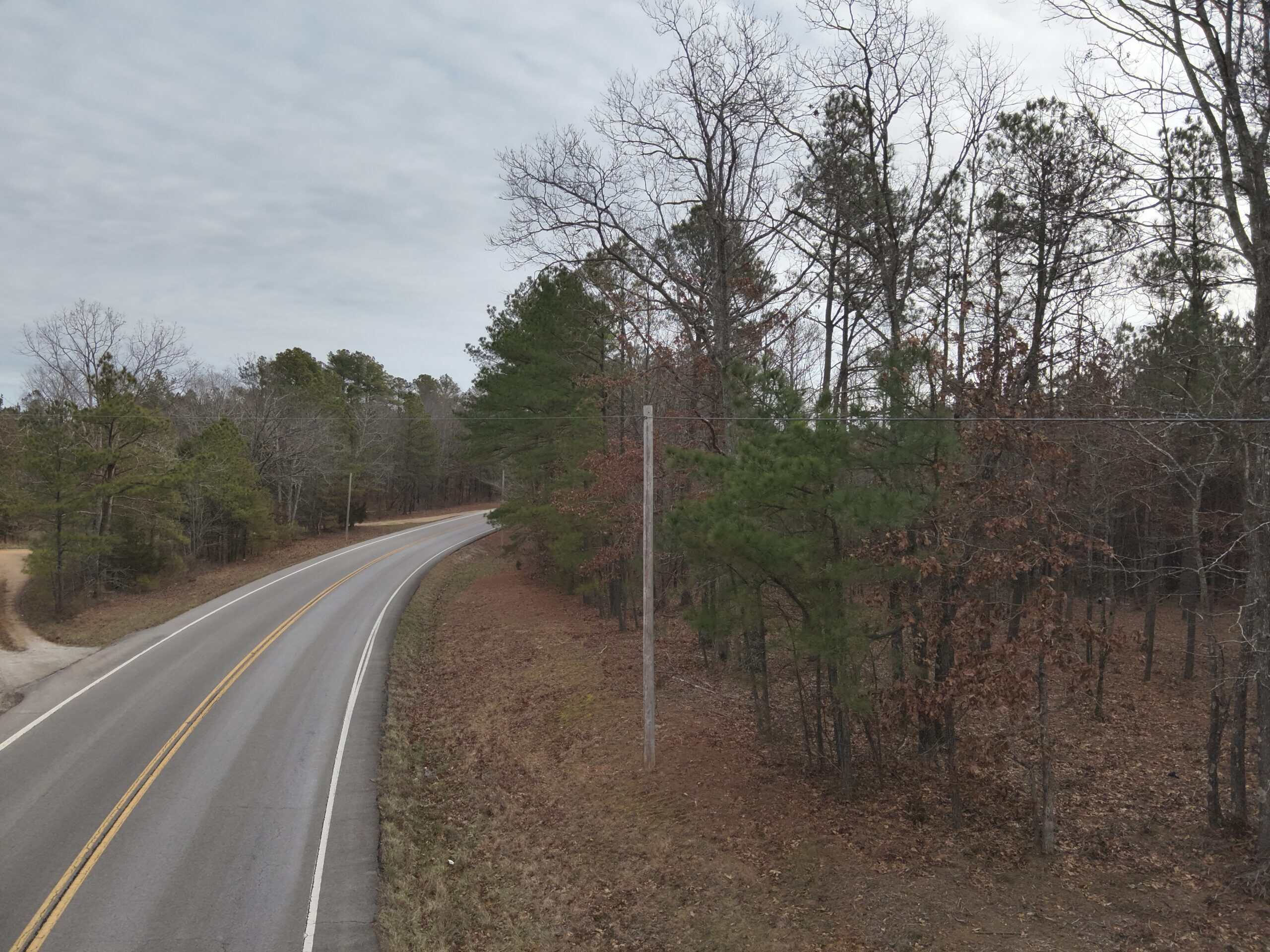 20 Wooded Acres For Sale in Lewis County, Tennessee