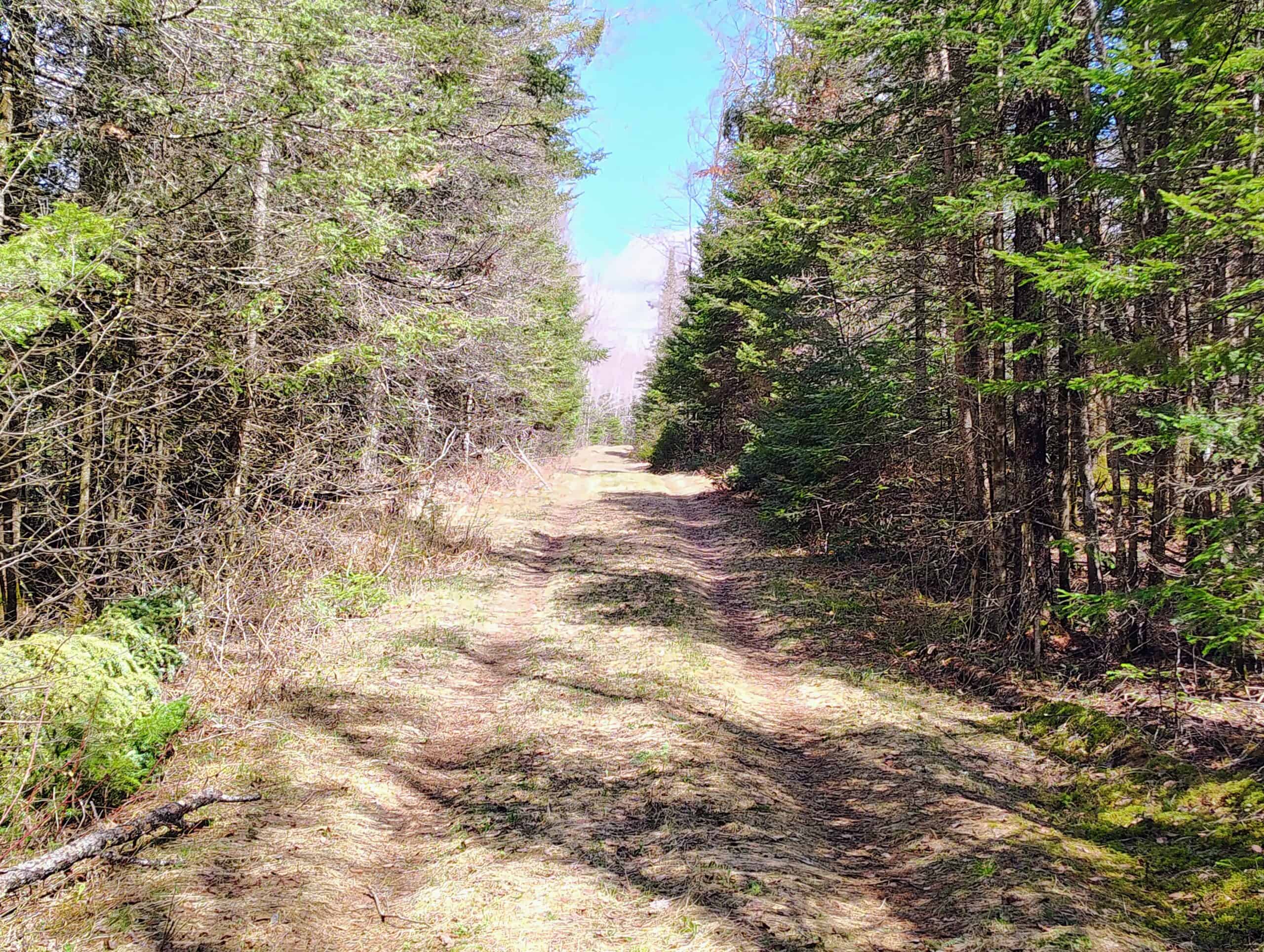 120 ± Acres with New Cabin located in Butternut, WI