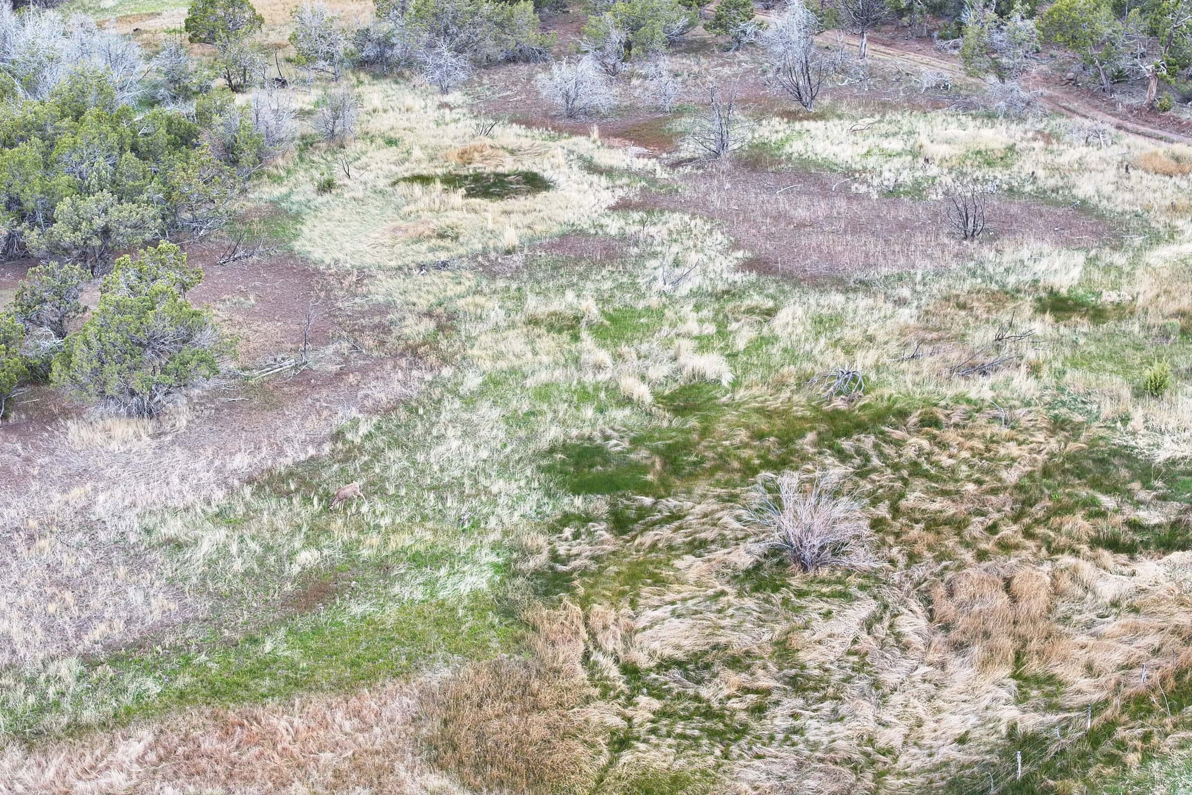 Vacant Land For Sale in Western Colorado with Tiny Home Included