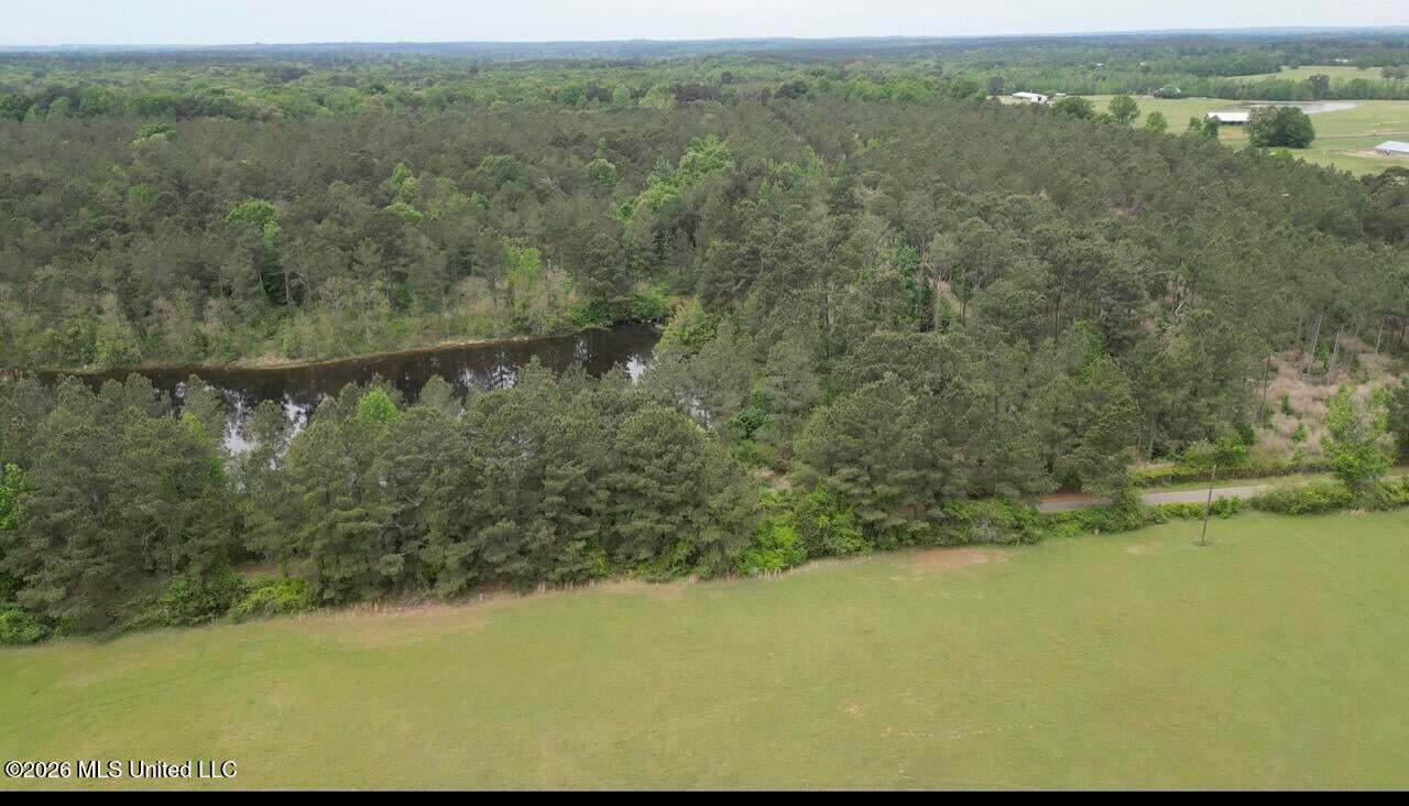 160 Acre in Bienville Parish Near Arcadia, Louisiana