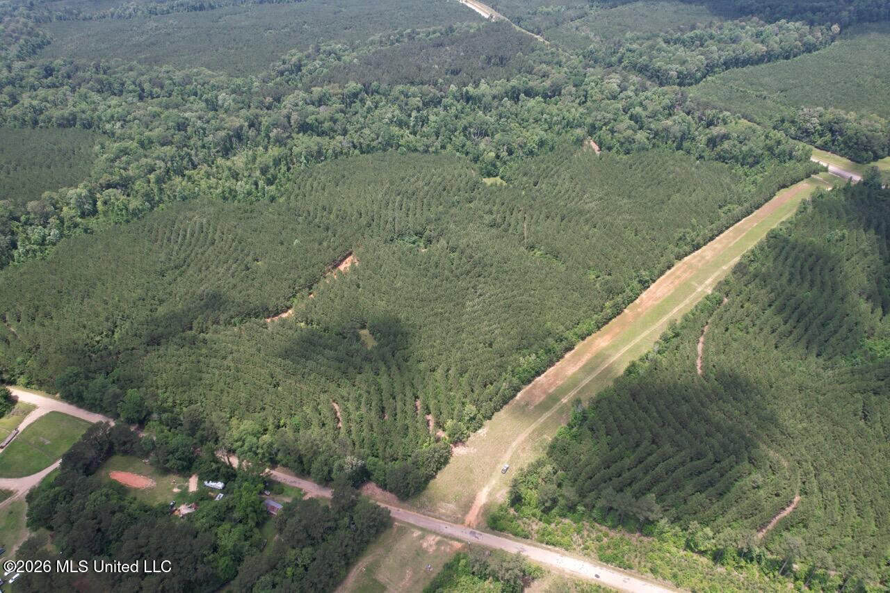 56 Acres in St. Helena Parish with Black Creek