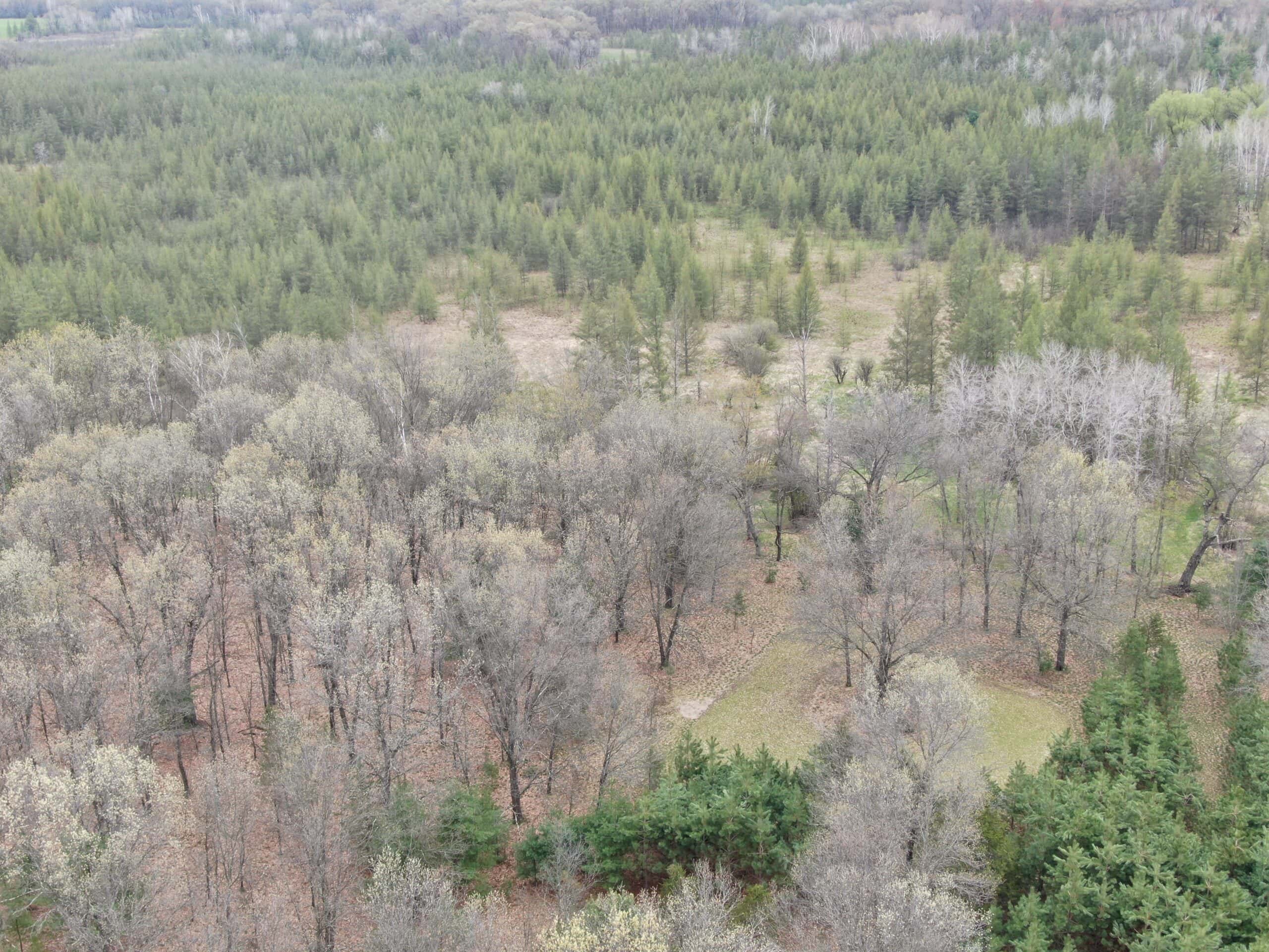 88 Acre Marquette County  WI Hunting Property For Sale