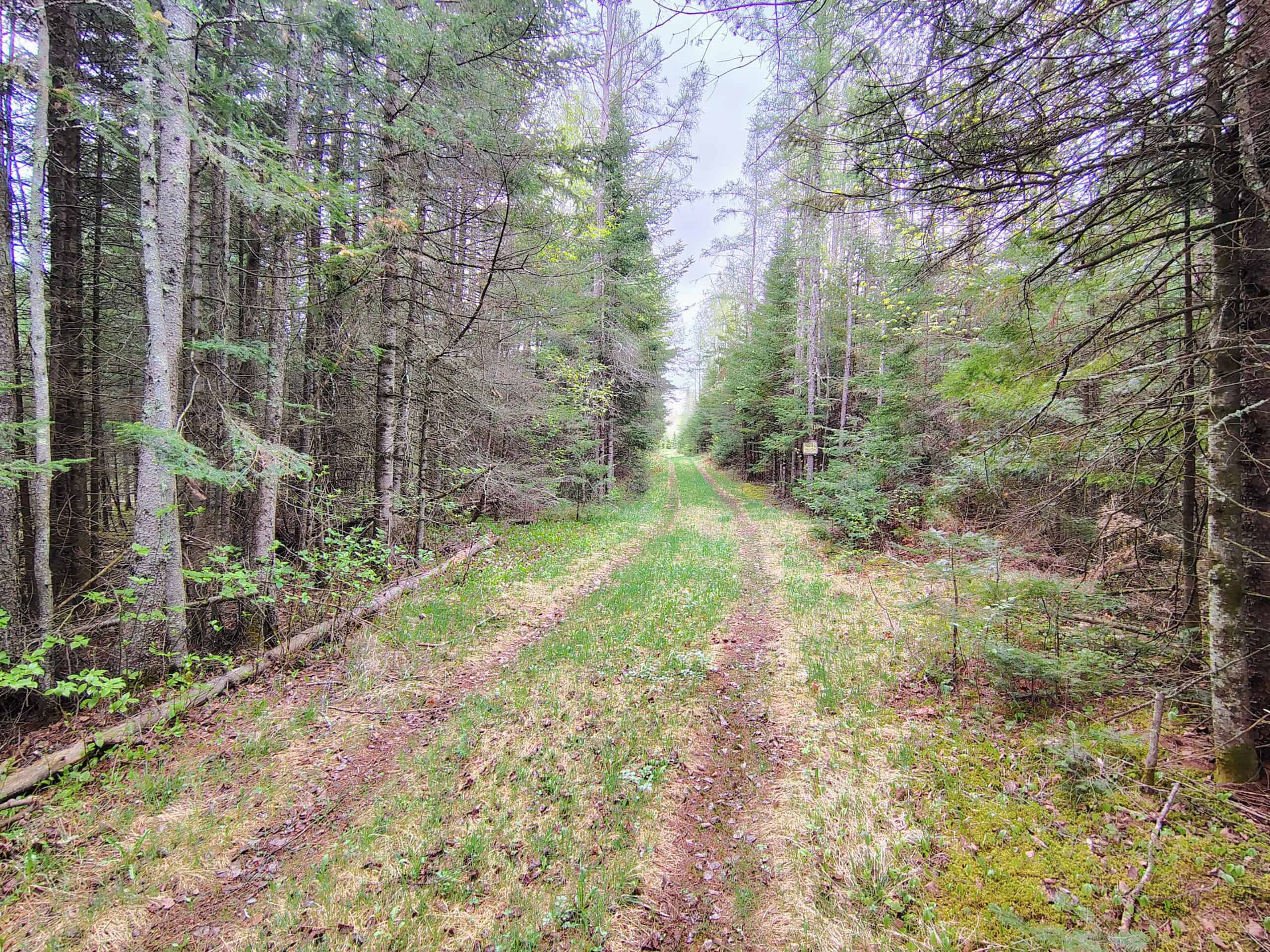 120 ± Acres with New Cabin located in Butternut, WI