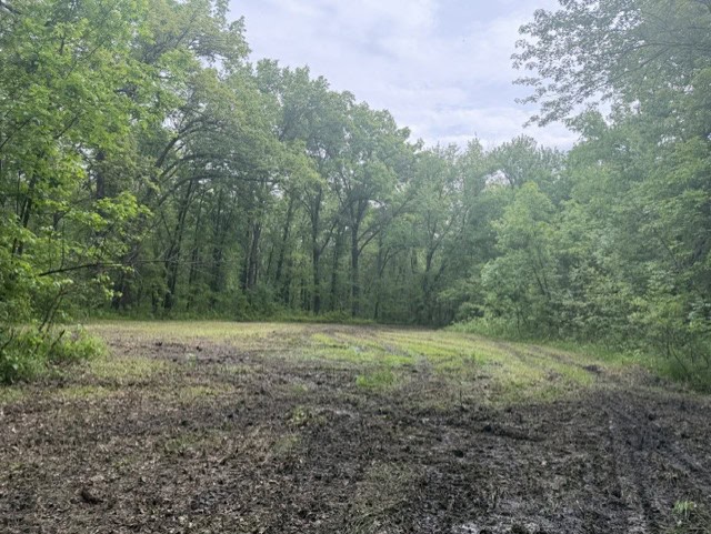 Trophy Whitetail Farm In NW Missouri For Sale – 45 Acres