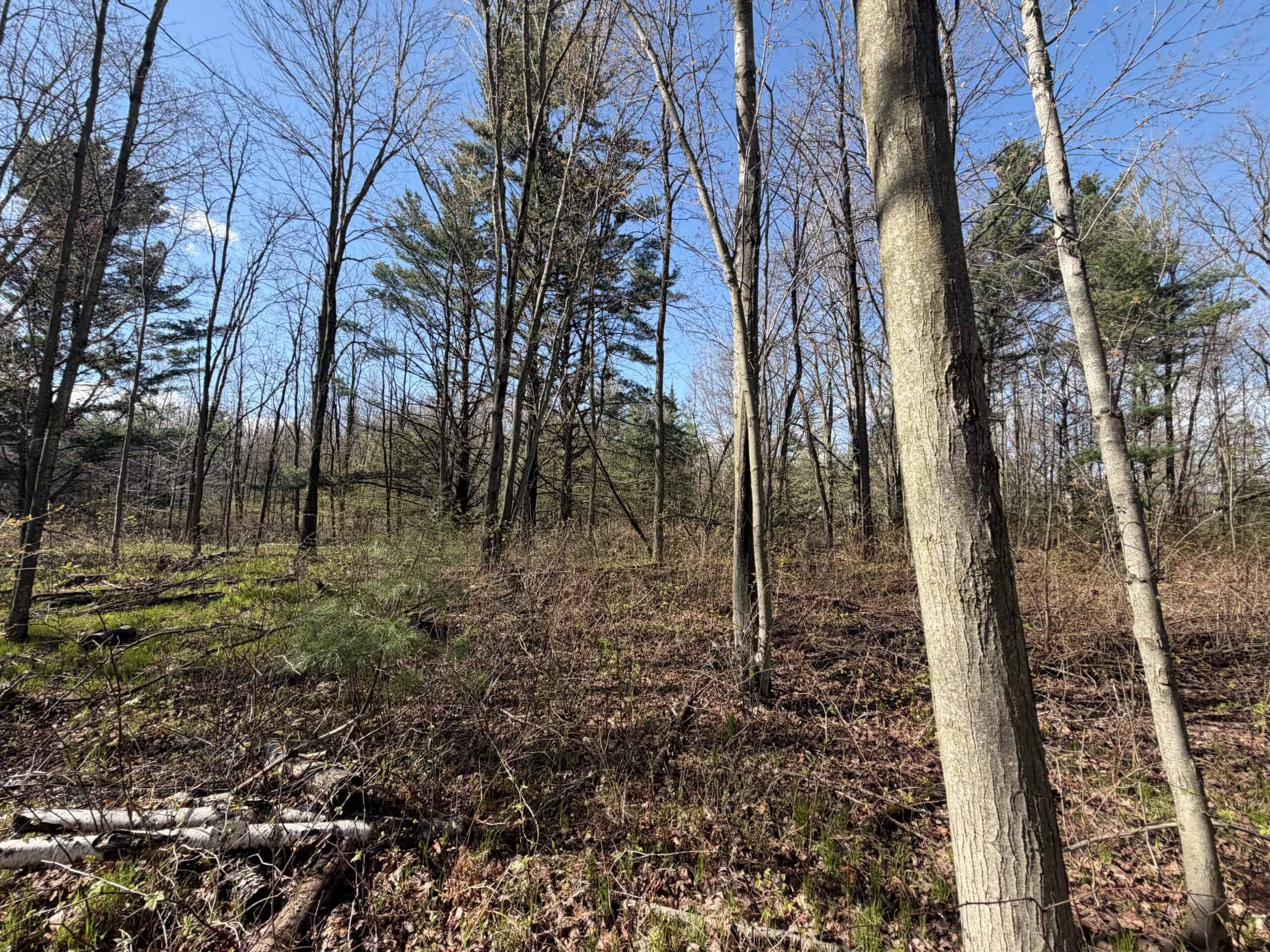 Portage County 40 Acre Hunting and Rec Property for Sale