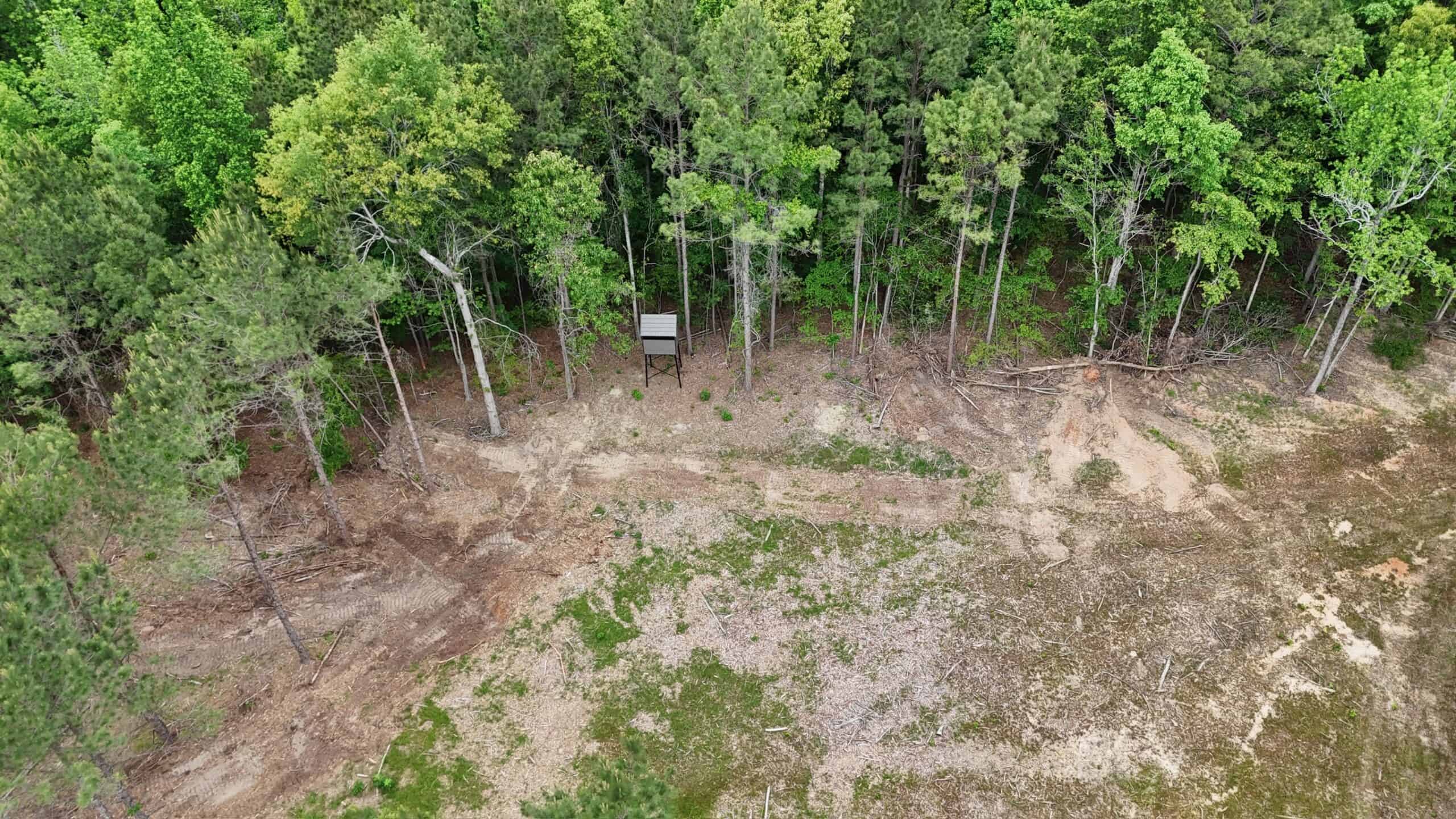 LA Recreation & Timber Property Joining Saline Lake