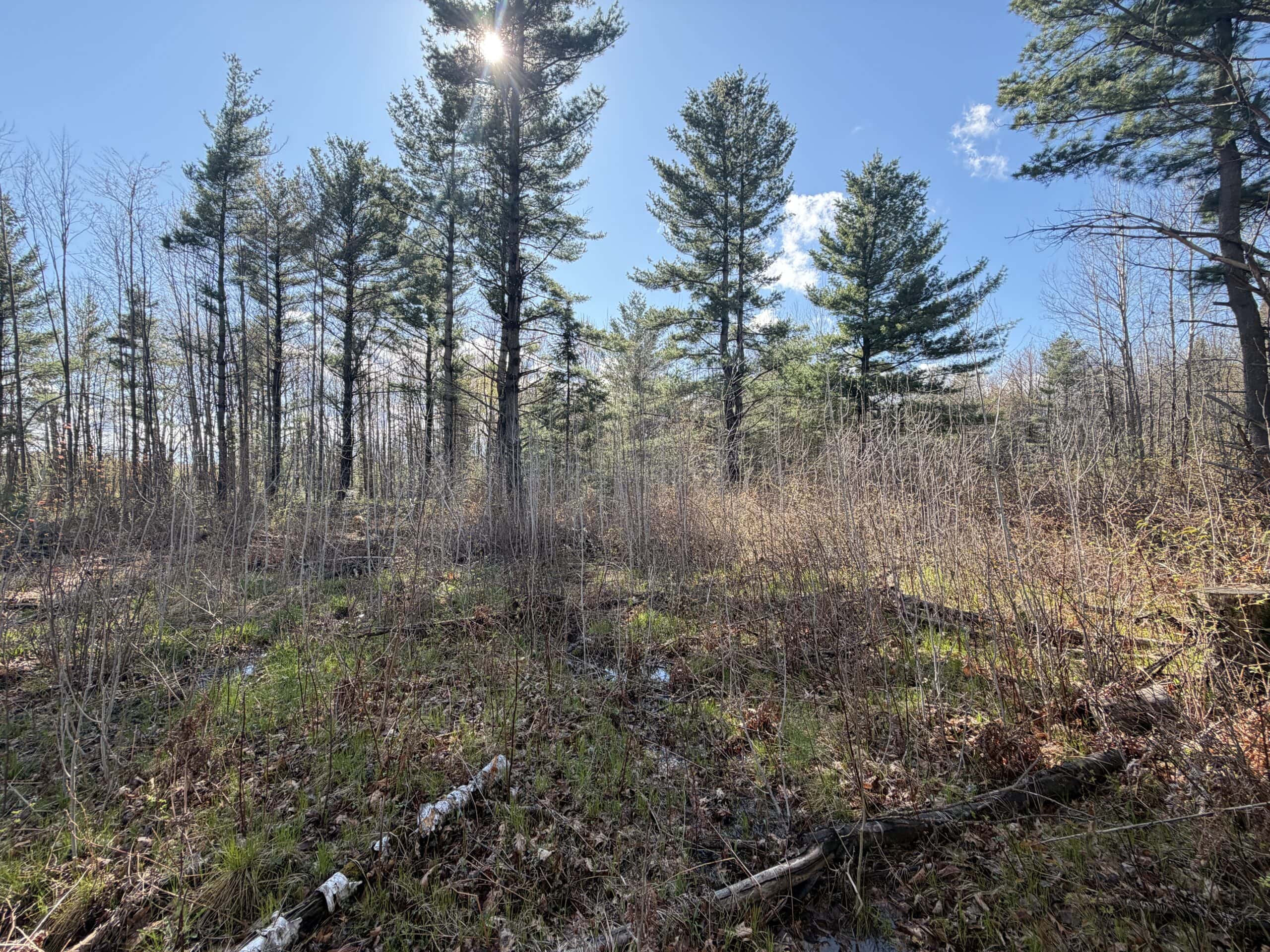 120 acres located in the Town of Dewey, Portage County, WI