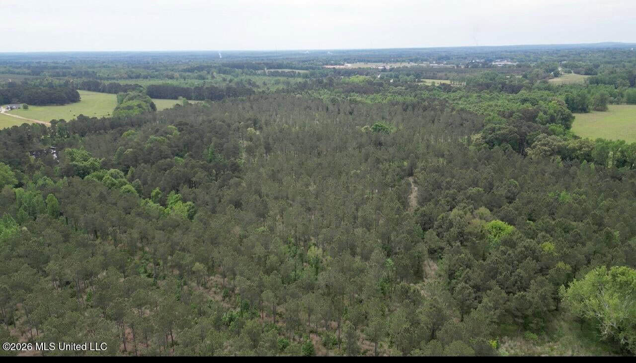 160 Acre in Bienville Parish Near Arcadia, Louisiana