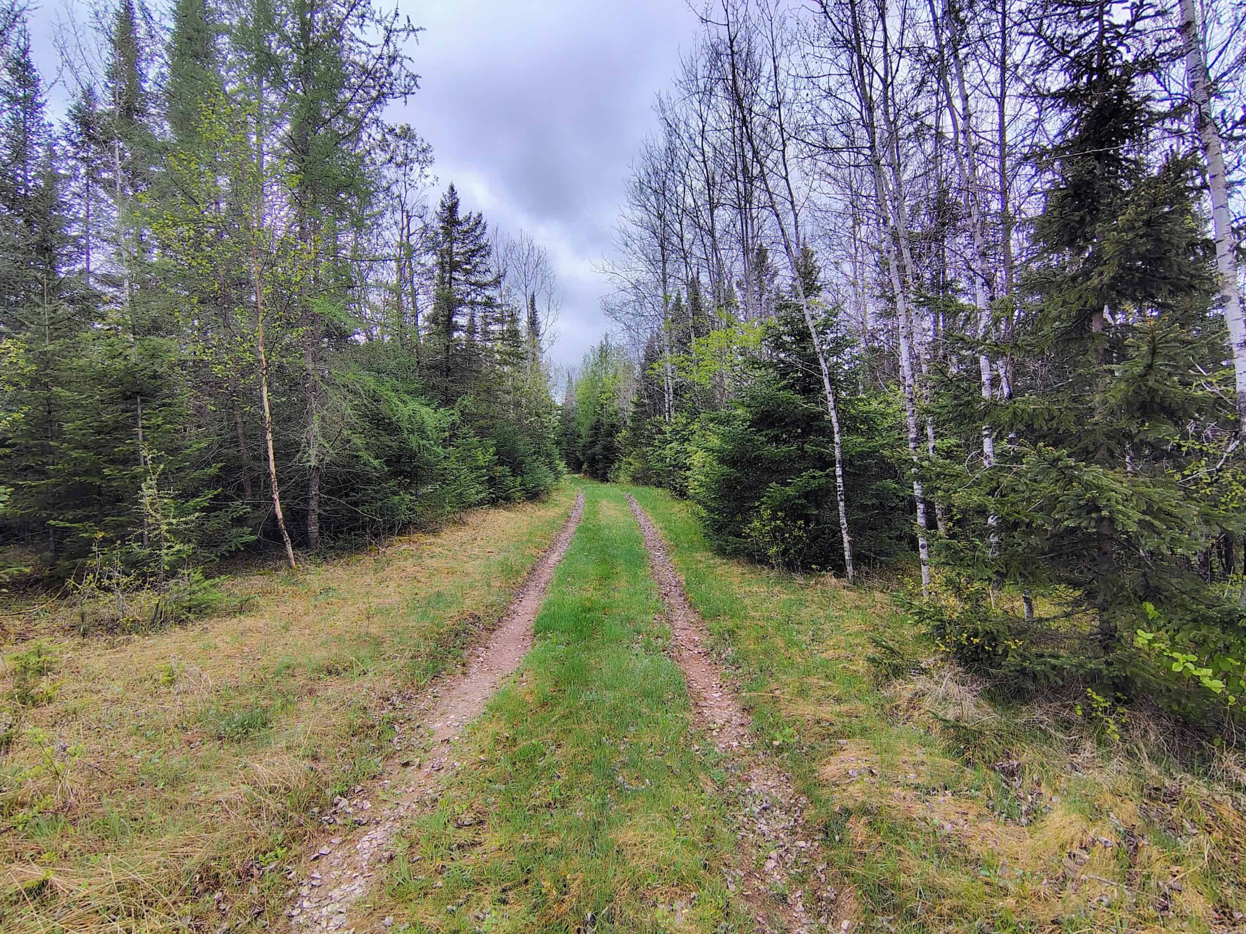 120 ± Acres with New Cabin located in Butternut, WI