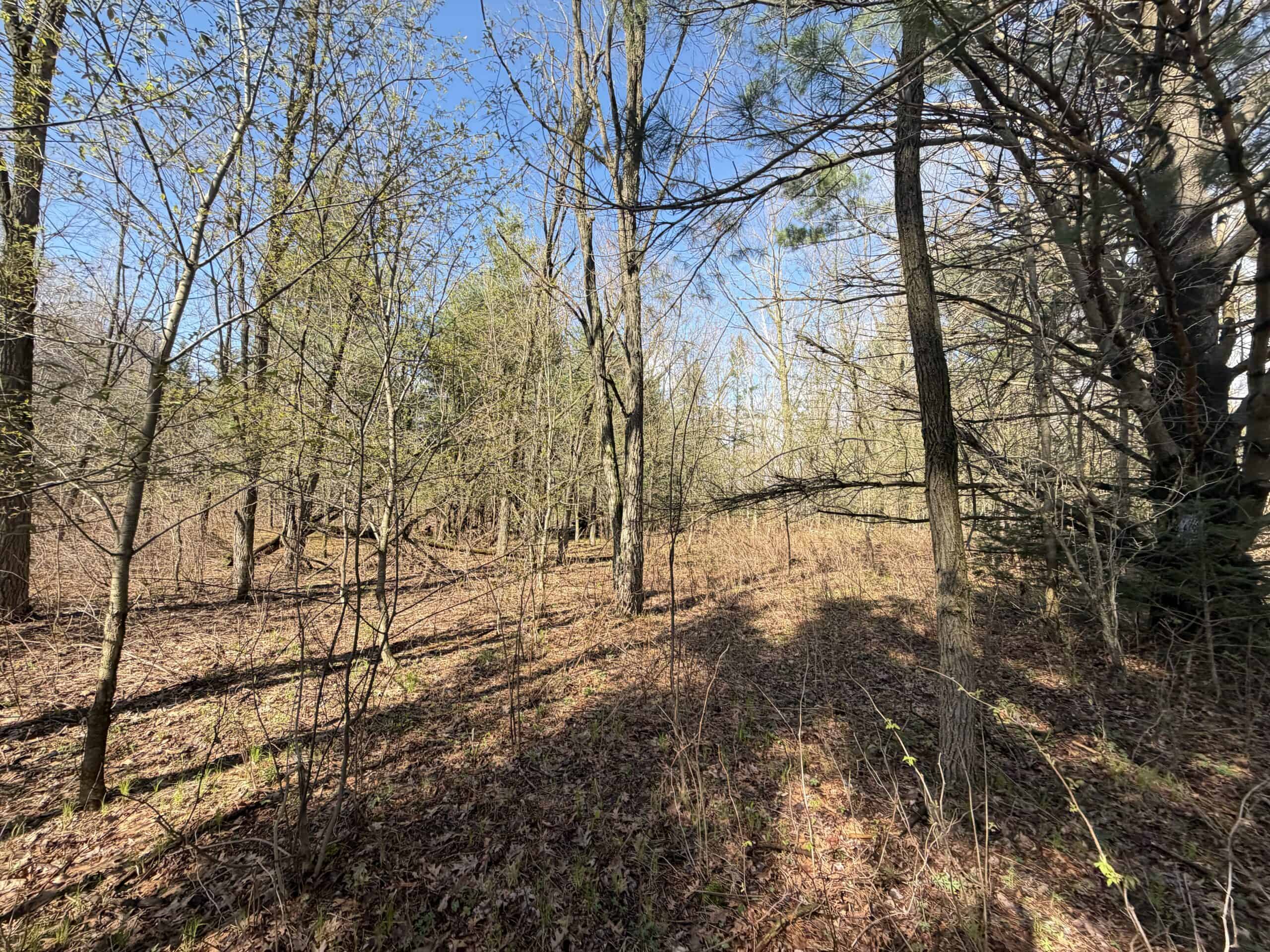 120 acres located in the Town of Dewey, Portage County, WI