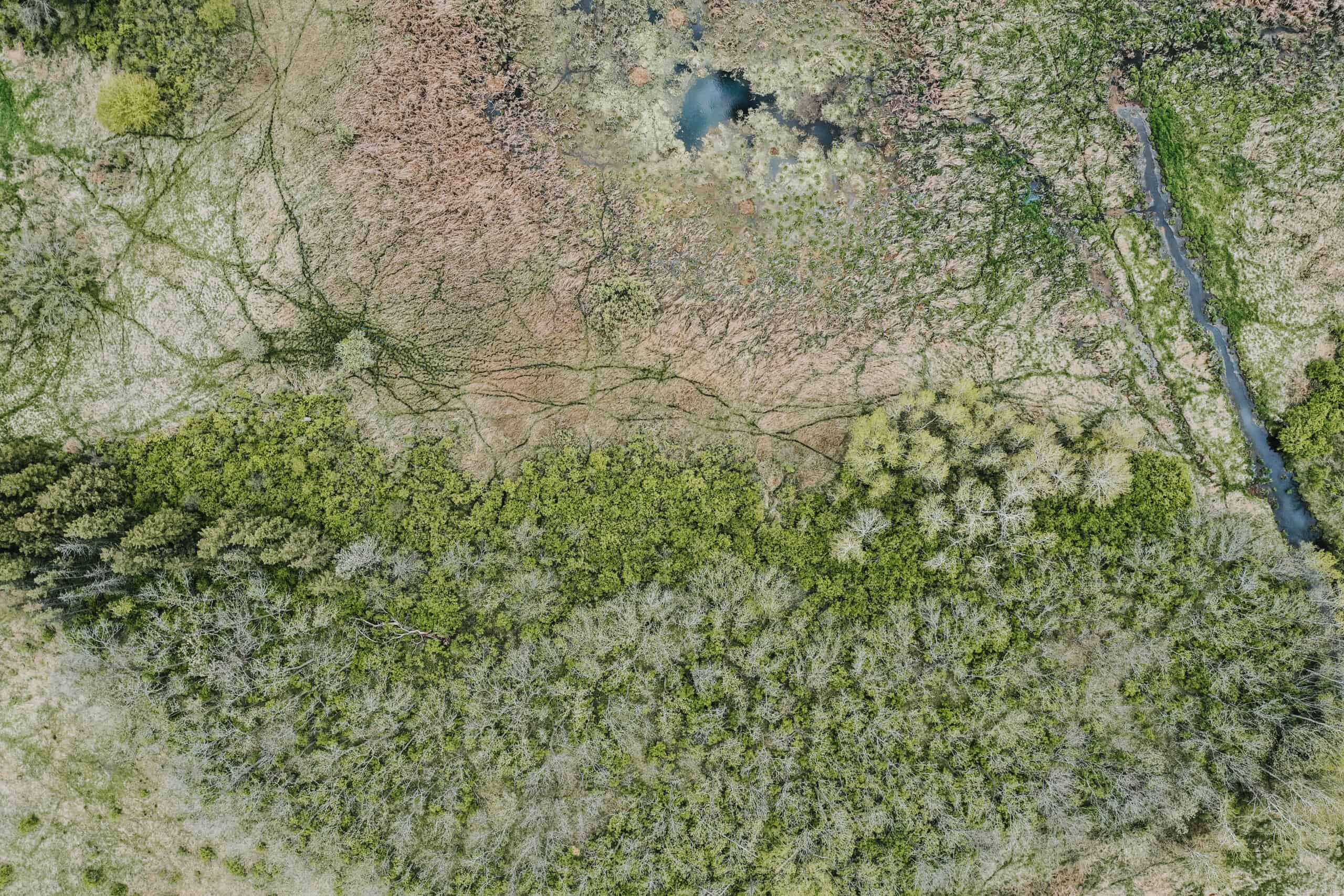 74 Acres in Dane County Town of York Rec, Hunting and Build Site for Sale