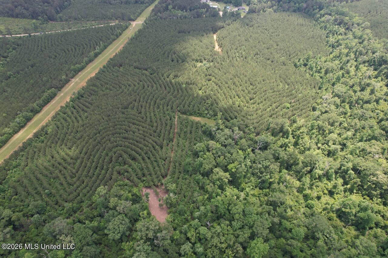 56 Acres in St. Helena Parish with Black Creek