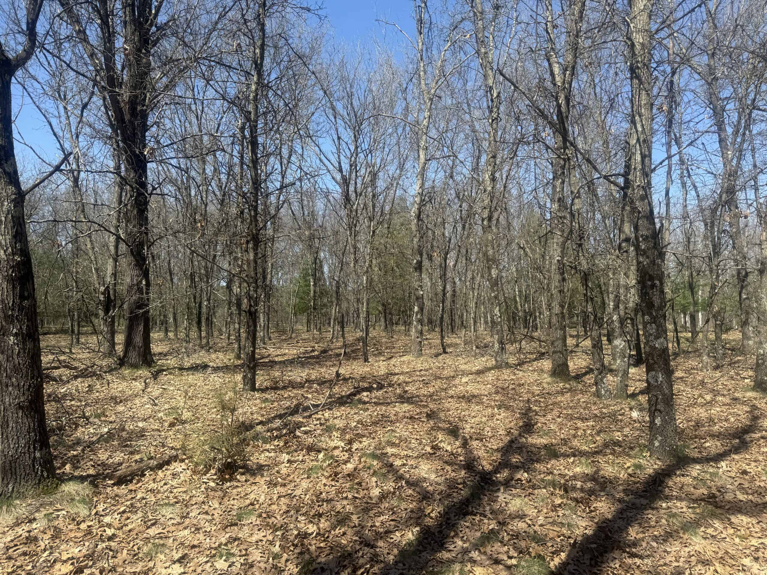 88 Acre Marquette County  WI Hunting Property For Sale