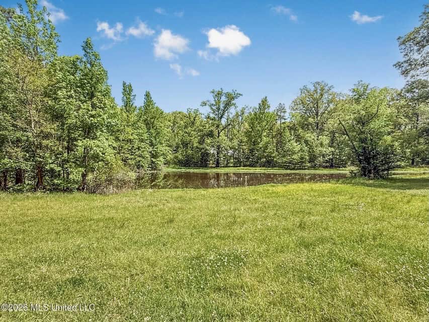 Home and Mobile Home for Sale on 25 Acres in Hinds County