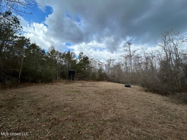470 Acres on Calcasieu River in Allen Parish, LA
