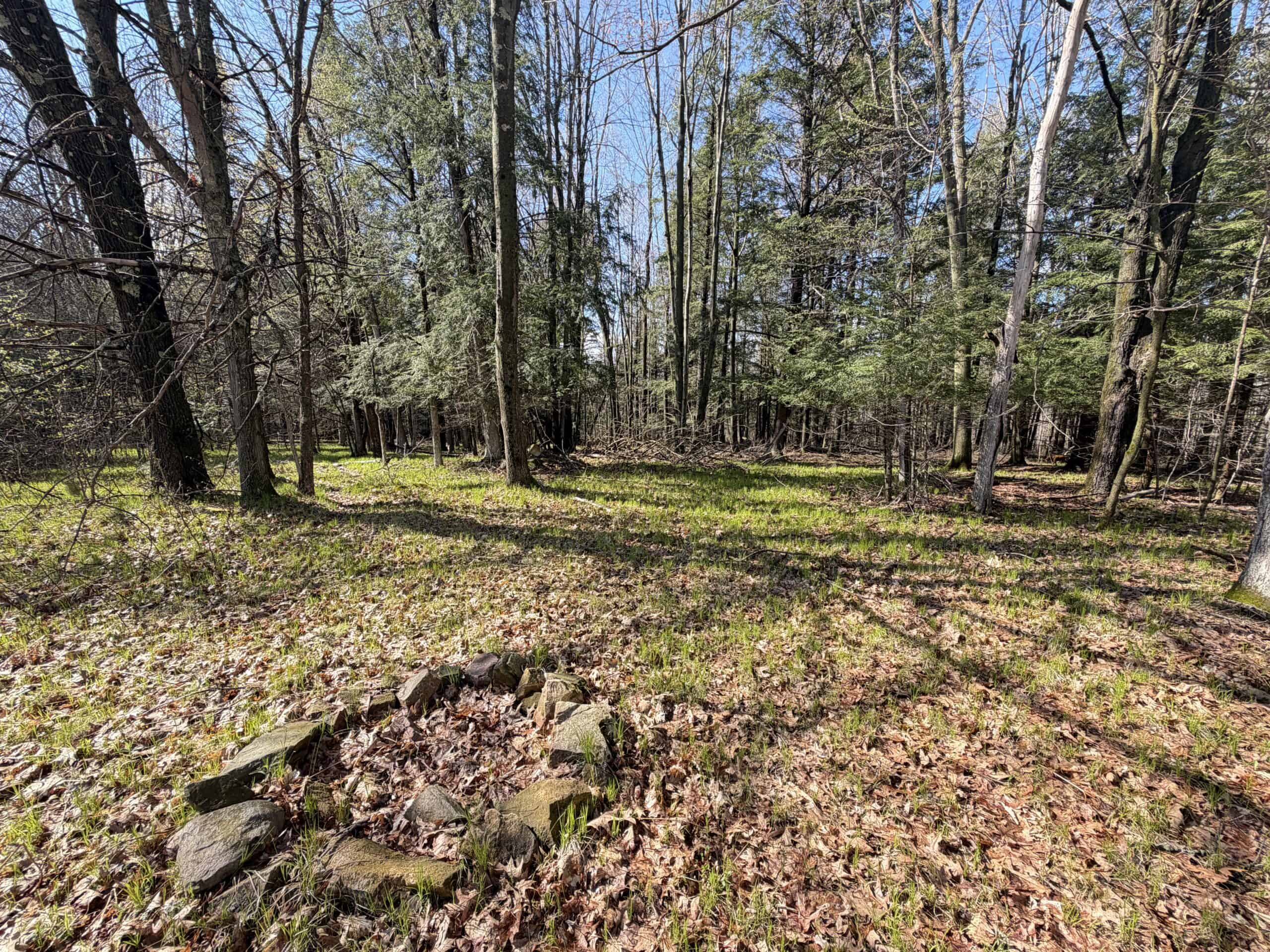 120 acres located in the Town of Dewey, Portage County, WI