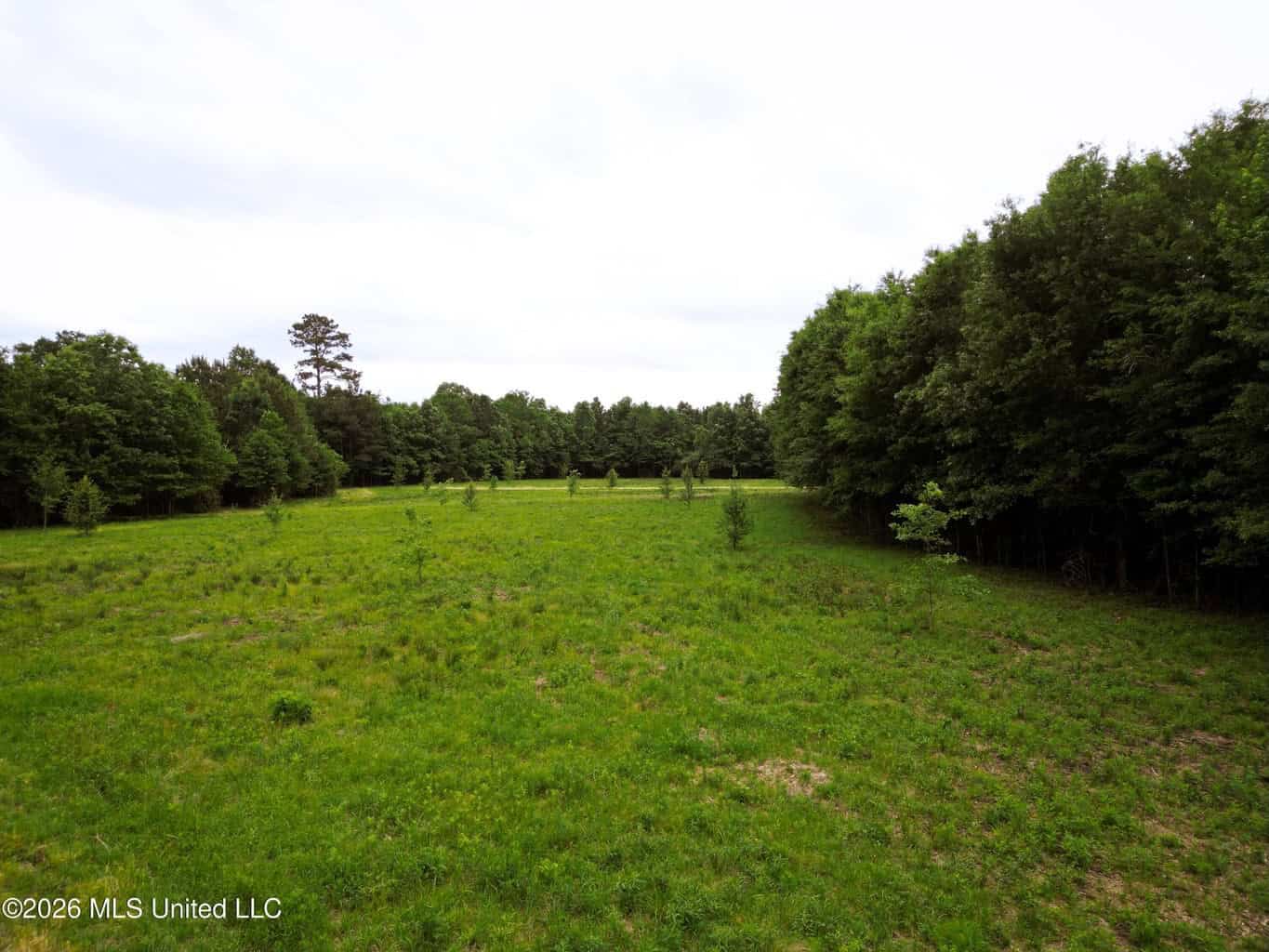 Land for Sale in Amite County, MS