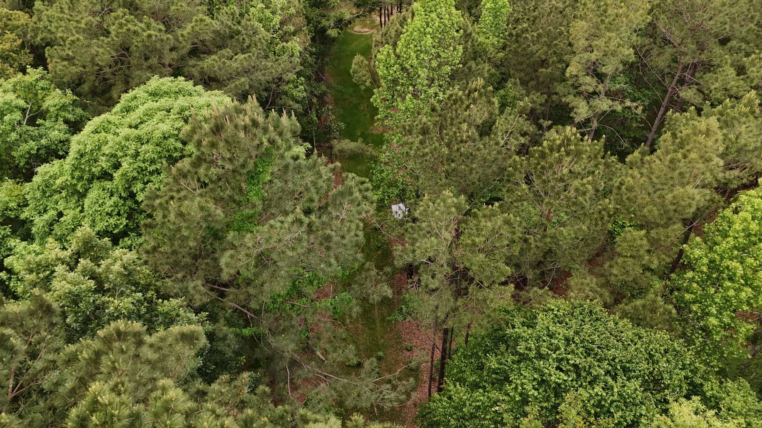 LA Recreation & Timber Property Joining Saline Lake