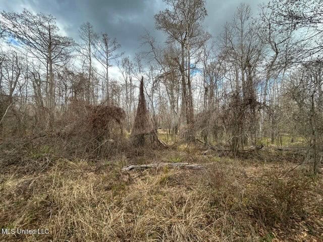470 Acres on Calcasieu River in Allen Parish, LA