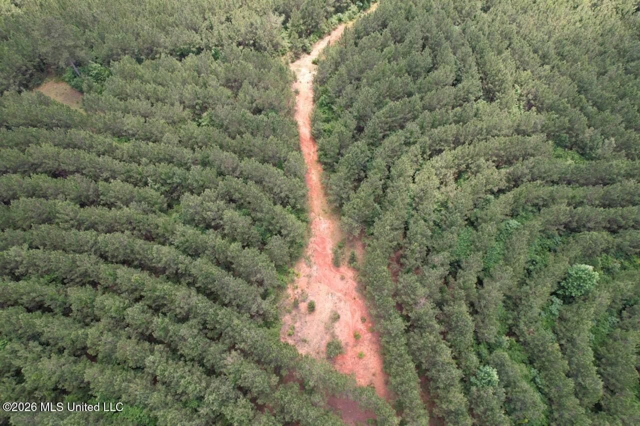 56 Acres in St. Helena Parish with Black Creek