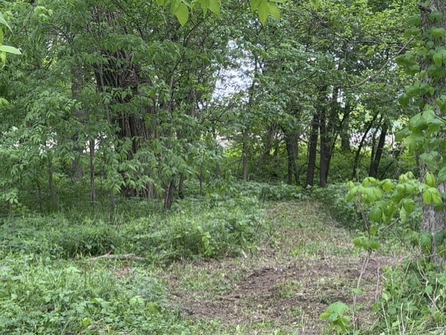 Trophy Whitetail Farm In NW Missouri For Sale – 45 Acres