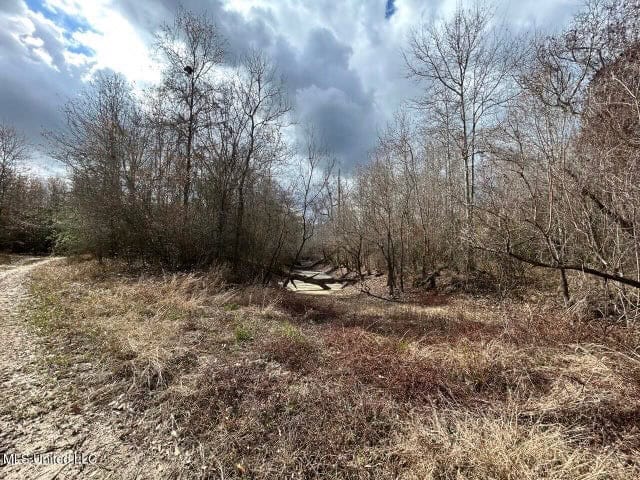 470 Acres on Calcasieu River in Allen Parish, LA