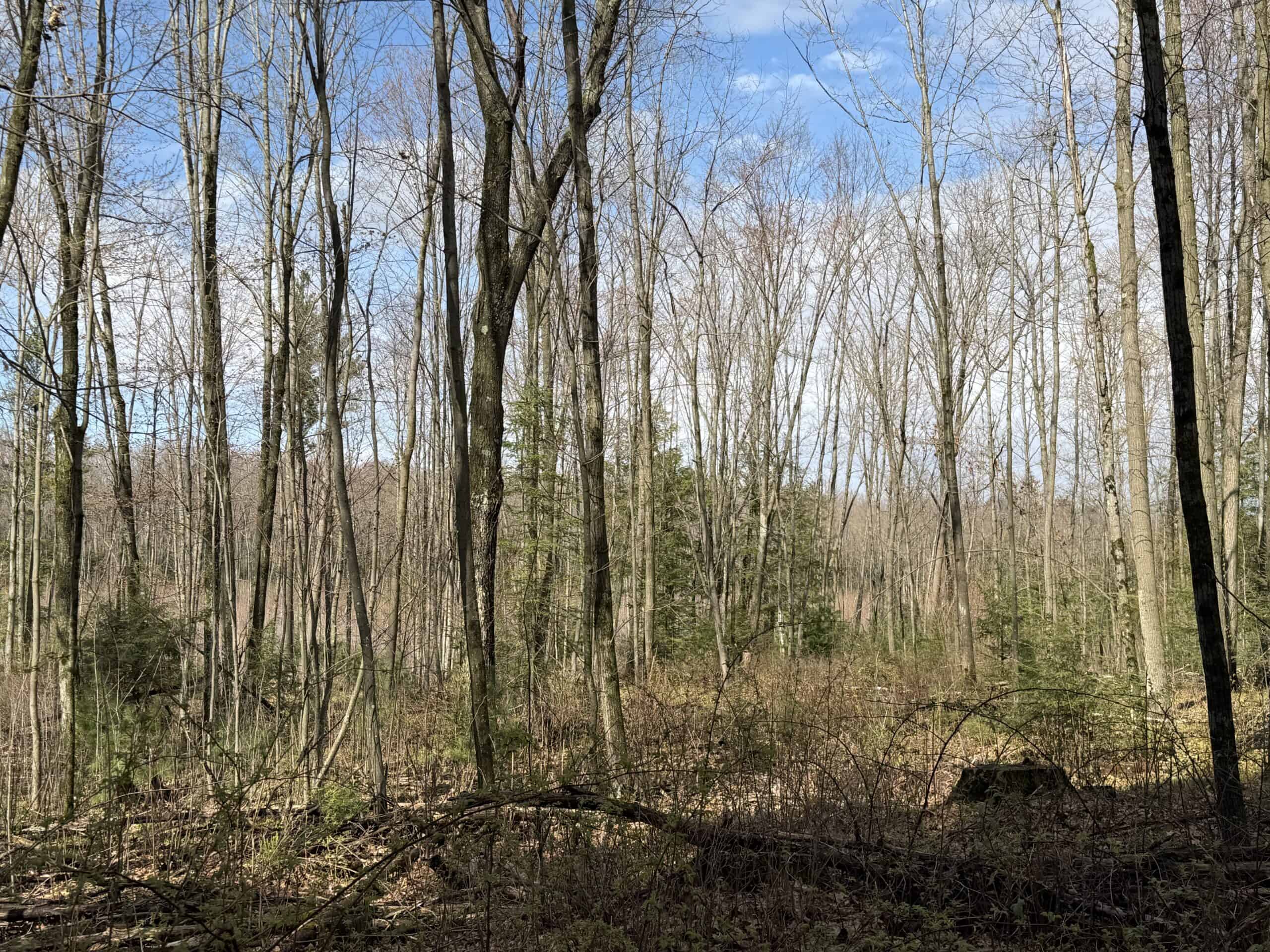 120 acres located in the Town of Dewey, Portage County, WI