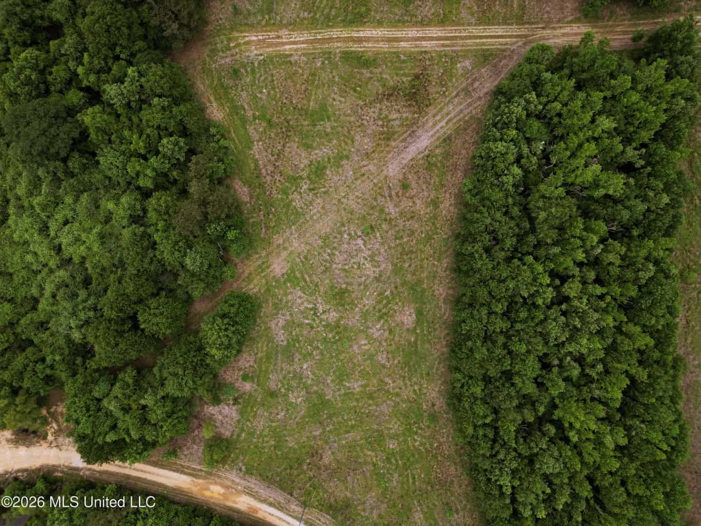 Land for Sale in Amite County, MS