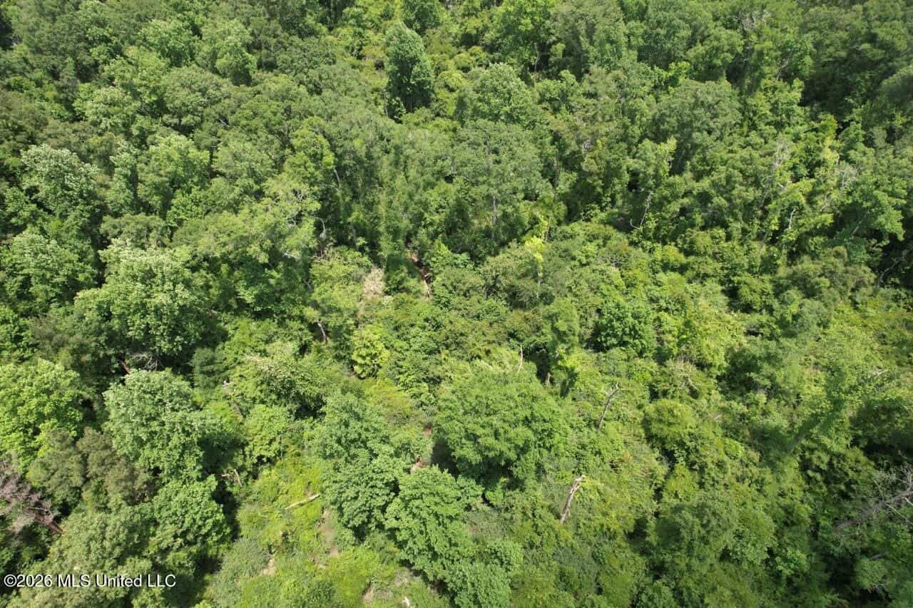56 Acres in St. Helena Parish with Black Creek