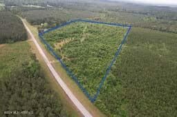 Hunting Land For Sale Lawrence County Silver Creek Mississippi