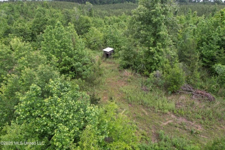 Hunting Land For Sale Lawrence County Silver Creek Mississippi