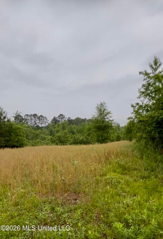 Hunting Land For Sale Lawrence County Silver Creek Mississippi