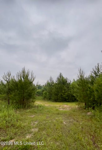 Hunting Land For Sale Lawrence County Silver Creek Mississippi