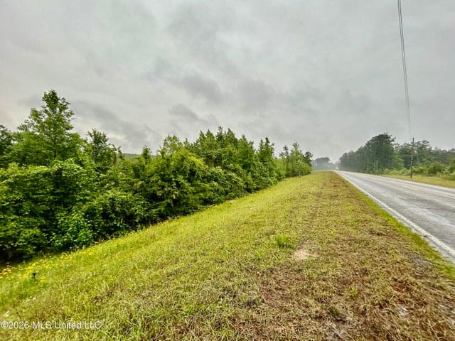 Hunting Land For Sale Lawrence County Silver Creek Mississippi