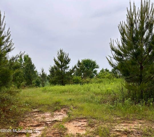 Hunting Land For Sale Lawrence County Silver Creek Mississippi