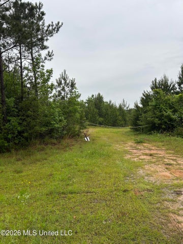 Hunting Land For Sale Lawrence County Silver Creek Mississippi