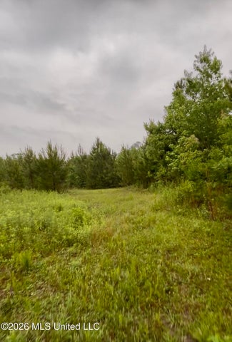 Hunting Land For Sale Lawrence County Silver Creek Mississippi
