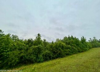 Hunting Land For Sale Lawrence County Silver Creek Mississippi
