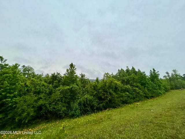 Hunting Land For Sale Lawrence County Silver Creek Mississippi