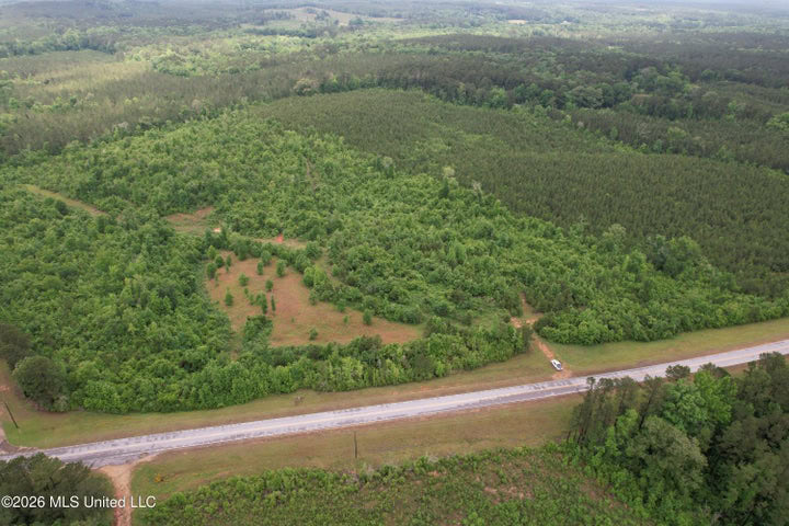 Hunting Land For Sale Lawrence County Silver Creek Mississippi