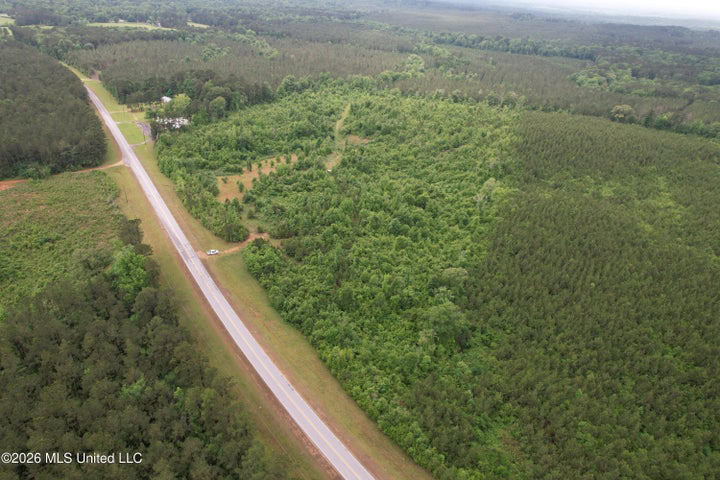 Hunting Land For Sale Lawrence County Silver Creek Mississippi
