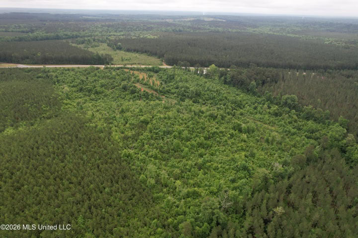 Hunting Land For Sale Lawrence County Silver Creek Mississippi