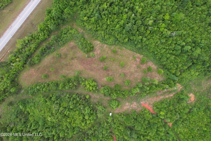 Hunting Land For Sale Lawrence County Silver Creek Mississippi