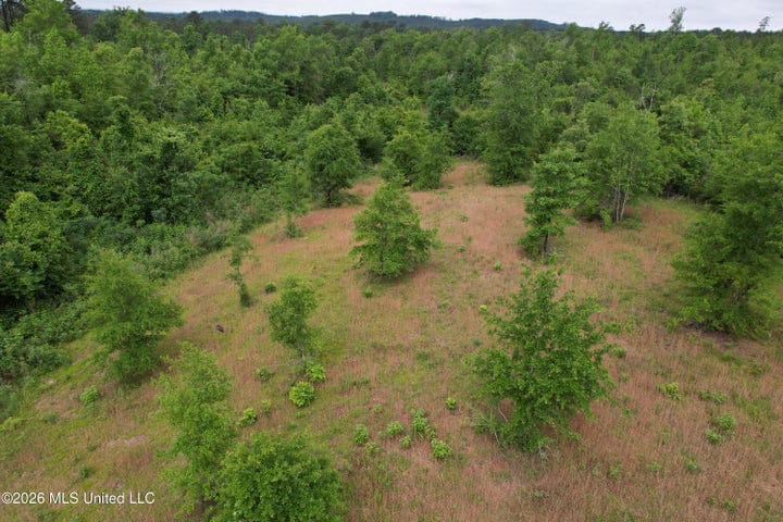 Hunting Land For Sale Lawrence County Silver Creek Mississippi